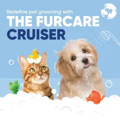 My mobile service is designed for both dogs and cats. I bring everything needed for a complete bath and grooming session, making professional pet care easier than ever for all your furry family members.