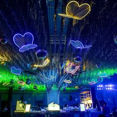 A ceiling full of neon butterflies and disco balls for a high-energy cocktail party. This design transformed the ballroom into a magical, glowing forest, perfect for a night of dancing.