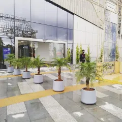 To create a grand and welcoming entrance for the Lulu Hypermarket, I lined the exterior walkway with large potted Phoenix palms. These statement plants immediately establish a sophisticated, natural mood for visitors as they arrive.