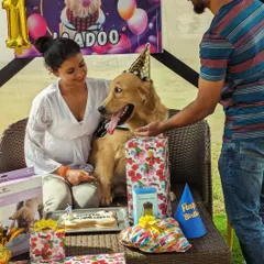 Jaadoo celebrating his first birthday with his family. We arrange everything, including the cake, gifts, and party hats, so you can just focus on making memories.