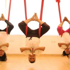 There is a special energy when we practice together. In my small group classes, we create a supportive community where everyone feels comfortable to hang, fly, and laugh. Here, we are all in a synchronized inverted Baddha Konasana, or bound angle pose.