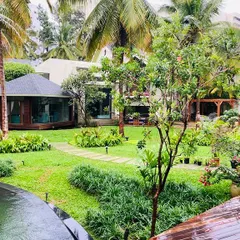 An elevated view of the property, showing how the different garden zones, including the lawn, gazebo, and planted areas, connect to form a unified landscape design.