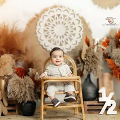 Celebrating a half birthday with a stylish boho themed sitter session. The setup features pampas grass, a rattan high chair, and a '1/2' sign to mark the milestone.