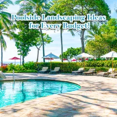 An example of a beautiful poolside landscape that can be adapted for every budget. This image shows a resort-style pool with lounge chairs and umbrellas, surrounded by lush palm trees.