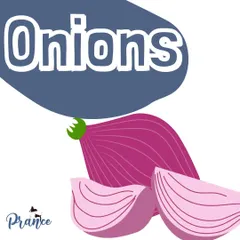 Onions, along with garlic and chives, belong to the Allium family and can damage a dog's red blood cells, leading to anemia.