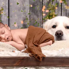Yes, I absolutely photograph your furry family members too. This newborn photoshoot features a sleepy baby alongside their very gentle and watchful golden retriever, creating a portrait that truly includes the whole family.
