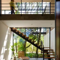 In this modern home, we used large windows as a backdrop for the plant design. The open staircase and mezzanine overlook a garden, while indoor plants are placed to connect the interior with the lush exterior view.