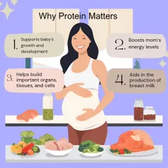 This graphic explains exactly why protein matters during pregnancy. It supports your baby's growth, boosts your energy, helps build vital organs, and even aids in the production of breast milk.