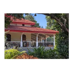 The restored veranda of the heritage structure, framed by lush greenery. We brought the original stone masonry and wooden roof back to their former condition, creating a beautiful and functional outdoor living space.