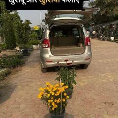 Let's go and spread some fragrance and happiness in someone else's home. Here is a car getting loaded with beautiful flowering plants, ready for delivery. This is what I love to do, bring a piece of nature to your doorstep.
