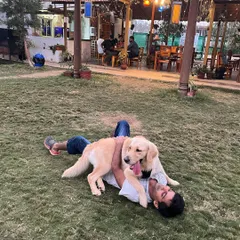 Pure joy captured as a guest and a dog play together on the spacious lawn, with the warm lights of our cafe in the background.