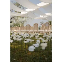 A field of whimsical white flowers planted along the aisle for a garden wedding. This creative detail added a dreamy, ethereal quality to the ceremony space.