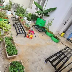 This terrace garden is in the process of a makeover. Our newly delivered single-tier and two-tier stands are placed and ready to organize the client's collection of grow bags, rectangular planters, and pots.