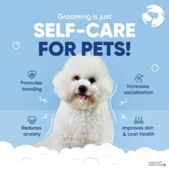 Think of grooming as a spa day that boosts your pet's health. This graphic highlights the key benefits, including improved skin, reduced anxiety, and better socialization, making it a positive routine for any dog or cat.