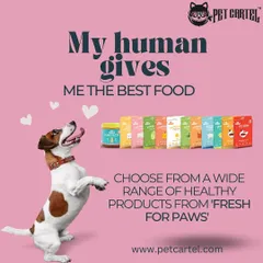 For those who prefer fresh, healthy meals, we stock a wide range of products from Fresh For Paws. These ready-to-eat meals are packed with wholesome ingredients to keep your pet thriving.