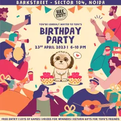 Our boy Tofu turned two and we couldn't keep calm! We invited everyone to a paw-fect party filled with games, prizes, and of course, return gifts for all our furry guests.