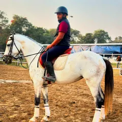 This is Akira, our majestic white-grey horse. He moves with an elegance and strength that is truly captivating to watch.