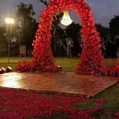 A breathtaking arch of red roses illuminated at night. The single chandelier hanging within adds a touch of glamour and romance, creating a perfect spot for evening photos.