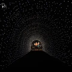 I designed this magical entrance tunnel using thousands of fairy lights, creating the illusion of walking through a galaxy of stars. It's a simple concept with an incredibly high-impact and memorable result.
