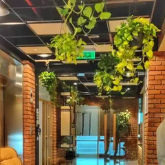 No floor space? No problem. For this office with an industrial brick-wall aesthetic, I used a series of hanging Golden Pothos to create a beautiful green canopy, adding life and texture from above.