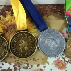 A collection of medals won by my students at the 7th National Hapkido Championship. We are champions in more than just Taekwondo.