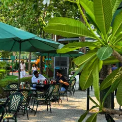 Friends enjoying a meal on our cafe patio, surrounded by lush greenery.
