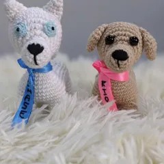 A pair of custom crochet dogs named Rio and Chase, each with a personalized ribbon collar.