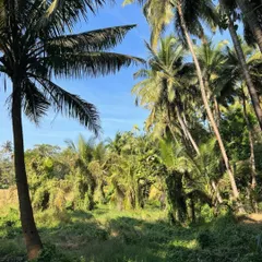 I always say, take a look around, the design will follow. The site context is where ideas take shape and grow. Understanding the land’s unique character is not just a canvas for my buildings but a fundamental collaborator in the design journey.