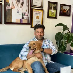 Pure comfort and happiness. A pet parent shares a cuddle with their Golden Retriever on our cozy café couch.