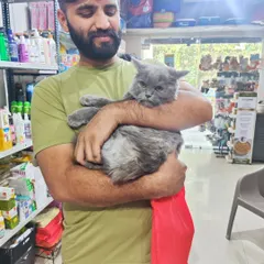 It's not just for dogs. We love our feline friends too. This gorgeous cat is visiting our store, which is fully stocked with both cat and dog supplies.