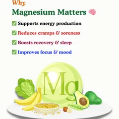 Magnesium is a powerhouse mineral that supports energy production, reduces muscle cramps, boosts recovery, and improves sleep. This graphic explains why it's a non-negotiable for overall health.
