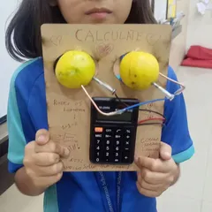 Who knew a lemon could power a calculator? We love showing kids the surprising science in everyday objects. This simple fruit battery experiment is a fantastic way to learn about circuits and energy.
