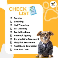 Here's the ultimate grooming checklist to make sure no spot is missed. From bathing and brushing to paw pad care, we've got your pet covered from head to tail.