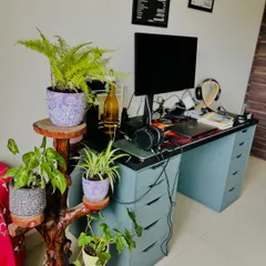 Your workspace should be a place of wellness. Here, we added a sustainable coffee stump stand and air-purifying plants to bring a breath of fresh air and a personal touch to a home office.