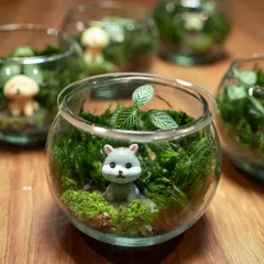 This tiny hamster figurine looks right at home in its own little mossy world. These miniature gardens are a living work of art that adds a refreshing touch to any setting.
