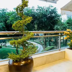 A sculpted Juniper tree in a metallic planter serves as a living work of art on this balcony at DLF Camellias, overlooking a lush green park.