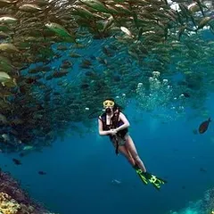 A diver swims through a massive school of fish in Sipadan, Malaysia. The feeling of being enveloped by such a huge bait ball is truly indescribable.