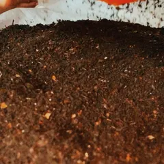 A close-up look at freshly harvested compost. This is what happens when you stop throwing your kitchen scraps in the bin and start treating them as a resource.
