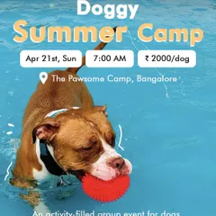 Announcing our first-ever Doggy Summer Camp. This action-packed day includes swimming, agility games, and plenty of supervised off-leash time for a perfect summer outing.