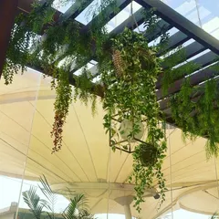 We created this dreamy overhead installation for a semi-outdoor seating area. Faux hanging plants and vines are woven through a wooden pergola, creating a natural canopy that provides a sense of enclosure and tranquility without blocking the light.