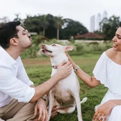 These are the silly, in-between moments that make the best memories. I encourage playful interactions during my sessions to bring out the genuine fun and laughter you share with your pet.