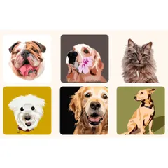 I absolutely love creating custom pet portraits! This collage shows a few of my recent illustrations, from a happy bulldog to a majestic cat. I can capture your furry friend's unique personality in a piece of art you can cherish forever.