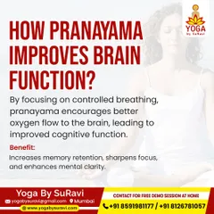 Did you know controlled breathing can improve brain function? Pranayama increases oxygen flow to the brain, which helps sharpen focus, increase memory retention, and enhance overall mental clarity.