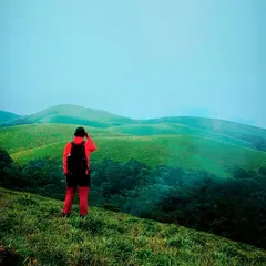 Overlooking the rolling green hills near Bandaje during the monsoon season. The Western Ghats are at their most vibrant and alive during this time.