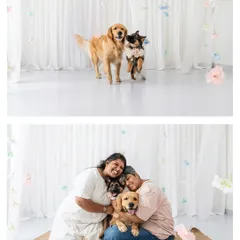 A beautiful family portrait from a Mother's Day mini-session. This collage shows the joy of a multi-pet household, with everyone snuggled together in a bright, airy studio setting.