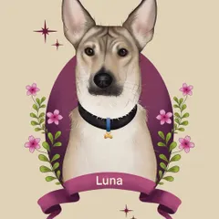 Here is a digital illustration of Luna, a beautiful indie dog. The rich purple background and floral elements are chosen to highlight her calm and regal presence, making it a truly personal piece.