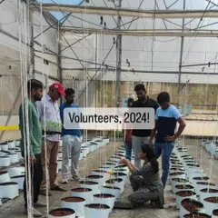 Our trainer guides a group of volunteers in the greenhouse. We ensure that even a single day of volunteering is a rich learning experience for everyone involved.