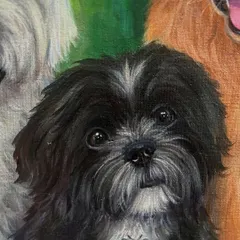 A close up of Oreo from the five-dog portrait. Capturing the curious and gentle expression in his eyes was key to bringing his personality to the canvas.