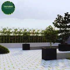 This 3D render showcases the planned layout of the terrace, including the paved flooring, bench seating, and strategic placement of trees and bamboo to create a modern, open-air oasis.