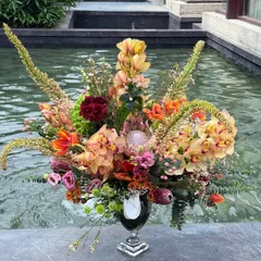 An arrangement that sings of saffron and tangerine. I brought together exotic protea, vibrant eremurus, and delicate orchids to create a piece full of texture and warm energy, perfect as a striking centerpiece for your home.